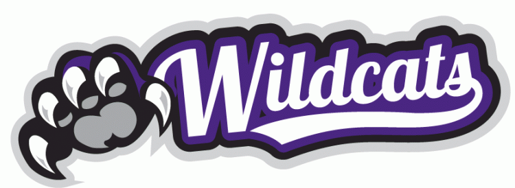 Weber State Wildcats 2012-Pres Misc Logo DIY iron on transfer (heat transfer)